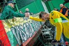 Sirgalius kviečia į unikalią kelionę