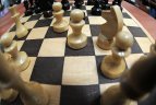 Dalyvaus Europos čempionate