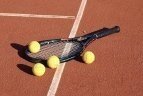 Nepakilo tik R. Berankis