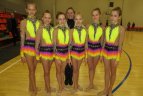 Vilniuje – 13 šalių  gimnastės