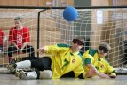 Kaune gins Europos čempionų vardą