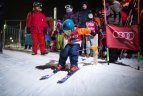 Ruošiasi žiemai ir laukia olimpiečių