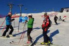 Šveicarijoje – permainingi lietuvių startai