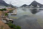 Olimpiniame Rio kanale dar želia žolės