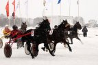 Dusetose prasidėjo žirginio sporto šventė