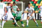 Sporto sirgaliaus savaitgalio gidas