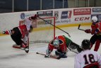 Finale - Kaliningrado ir Kauno komandos