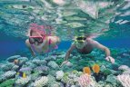 Į Australiją – slidinėti, keliauti ir poilsiauti
