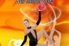 Vyks gimnastikos turnyras