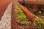 Citius, altius, fortius – ant suskilusių takų