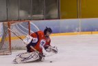 NLRL - vien atkaklios kovos