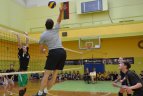 Europos diena - tinklinio aikštelėje