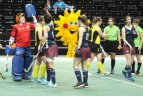 Svarbiame mače - apmaudus pralaimėjimas