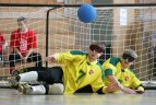 Lietuvoje - lemtingas Europos čempionatas