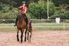 Į žirginį sportą – po lemtingos avarijos