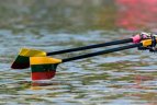 Europos čempionate – lietuvių triumfas