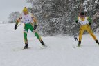Liko toli nuo lyderių