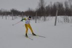 Lietuviai Švedijoje - septinti
