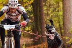 Rungsis keturkojai pasaulio čempionai