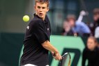 Berankis - žemyn, Grigelis - aukštyn