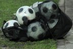 Startuoja LFF II lygos Pietų zona