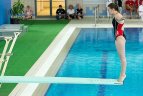 Kelio į tikslą ieško svetur