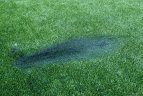 LFF stadione siautėjo lenkų chuliganai