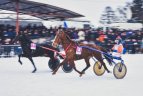 Svarbu rasti bendrą kalbą su žirgu
