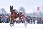 Ristūnai vėl skries ledu Dusetose