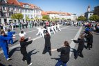 Rinksis Aukščiausios ribos kumščio meistrai