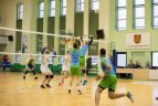 Tinklinio aikštėse - favoritų pergalės