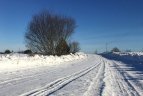 N. Šulija žada puikų orą