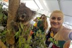 Sezoną pradėjo Australijoje