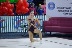 Dėl sudėties apsisprendė tik po čempionato