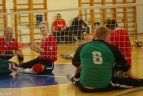 Turnyrą laimėjo Vilniaus tinklininkai
