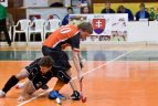 Žolės riedulininkai - į auštesnį divizioną