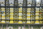 Lietuvos rinktinės treniruotė Gdansko "PGE Arena"