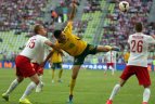 Draugiškos rungtynės. Lenkija - Lietuva 2:1
