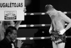 2012 metų sporto akimirkos.