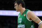 Eurolyga. "Žalgiris" - ALBA.
