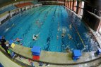 Baseino gyvenimas verda ne tik vandenyje