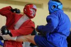 2012 04 01. Lietuvos kovinio sambo čempionatas Vilniuje.