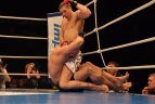 „K-1 and King of Kings Europe GP in Vilnius 2011“