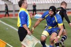 Lietuva - Švedija - 33:33