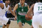 2011 11 30. Kauno "Žalgiris" - Malagos "Unicaja" 67:65