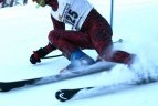 "Žalgirio" žaidynių ir LEKI taurės slalomo milžino varžybos.