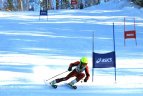 "Žalgirio" žaidynių ir LEKI taurės slalomo milžino varžybos.