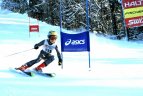 "Žalgirio" žaidynių ir LEKI taurės slalomo milžino varžybos.