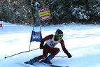 "Žalgirio" žaidynių ir LEKI taurės slalomo milžino varžybos.