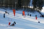 "Žalgirio" žaidynių ir LEKI taurės slalomo milžino varžybos.